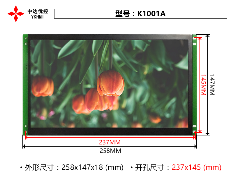 K1001A